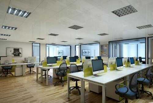 写字楼绿植租赁套餐