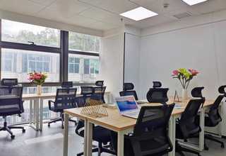 聊城大学古琴口碑